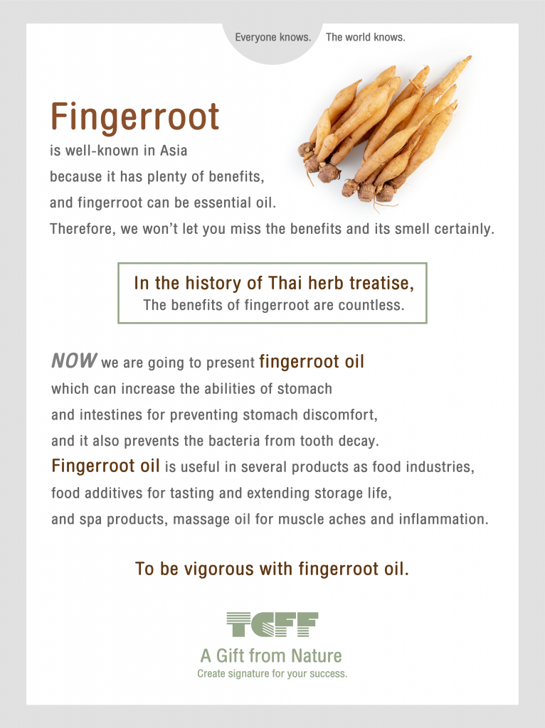 We are going to present Fingerroot oil