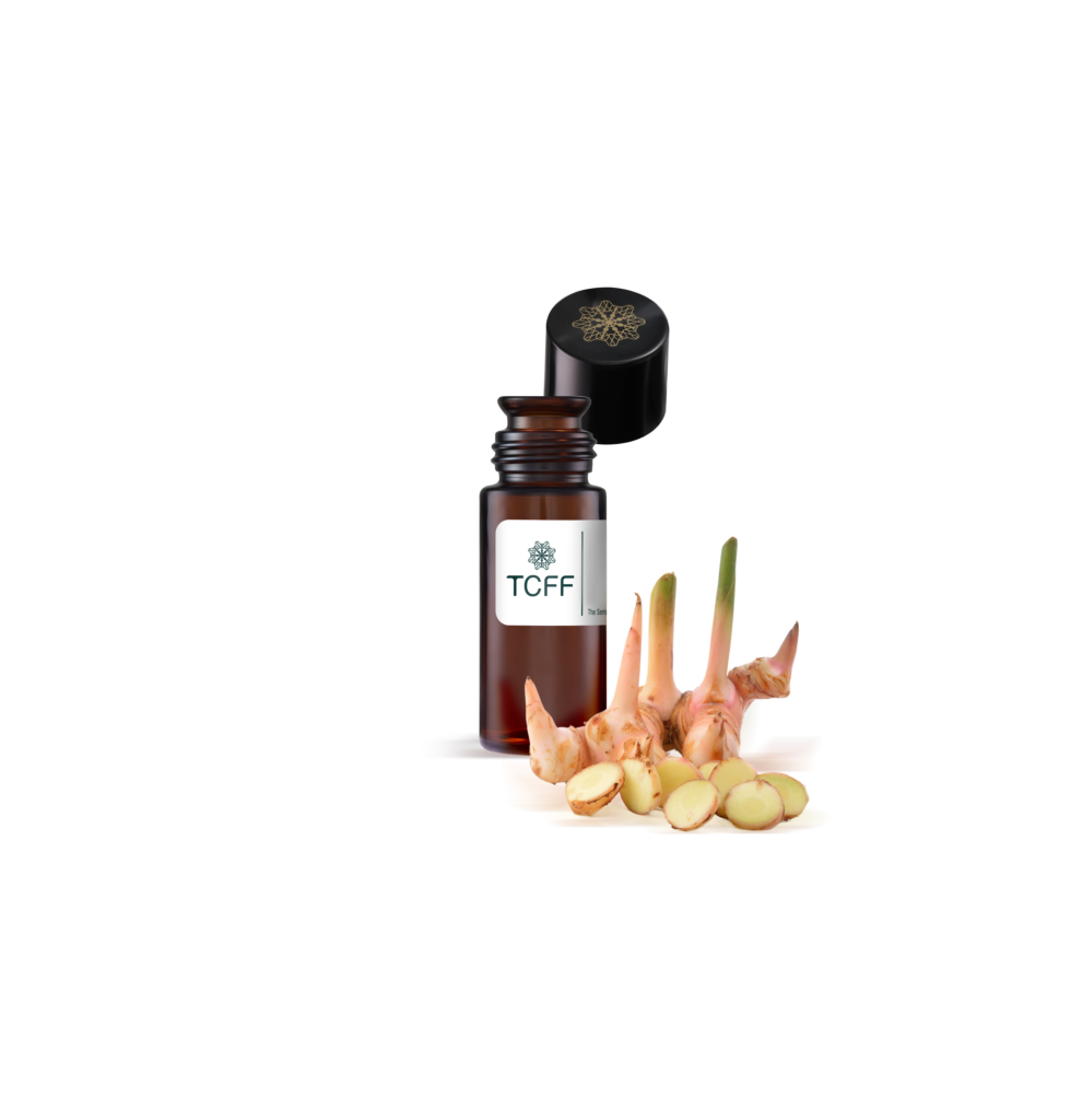 GALANGA EXTRACT POWDER-A