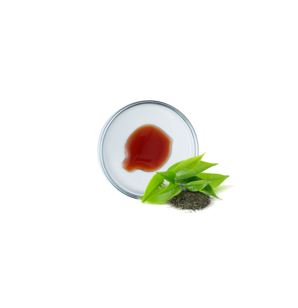 GREEN TEA EXTRACT