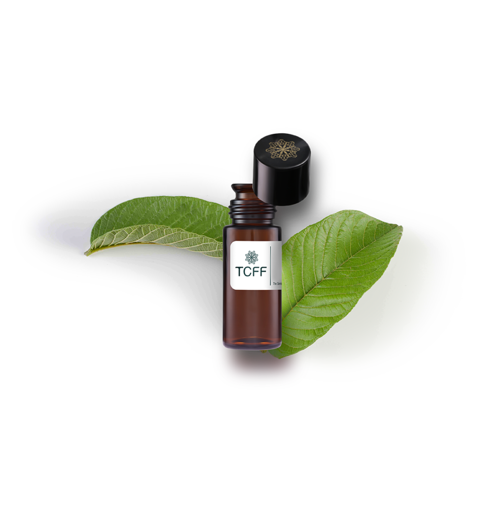 GUAVA LEAF EXTRACT